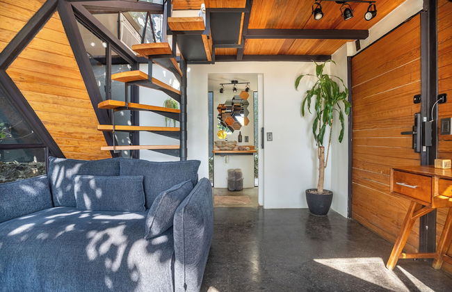 Bosque Geométrico - Foto 41