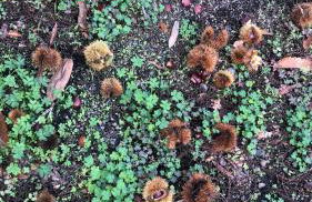 Vv Casa Milele - Foto 18