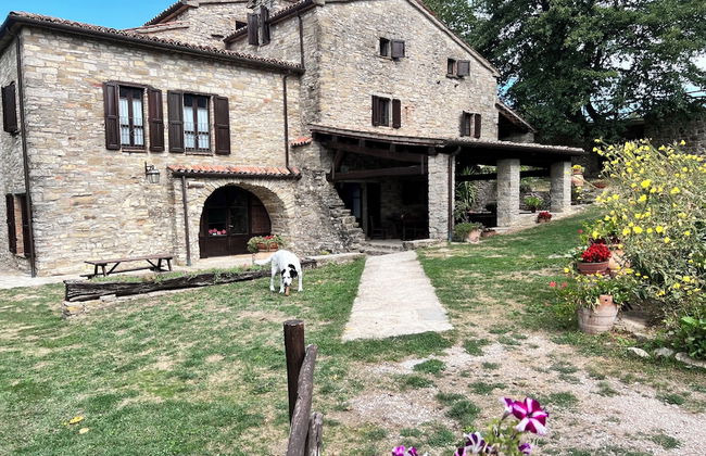 Bio Agriturismo La Cerqua - Foto 98