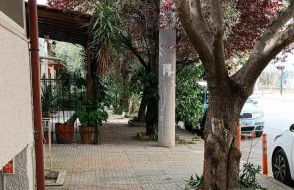 Dimitri's Cosy Home - Foto 23