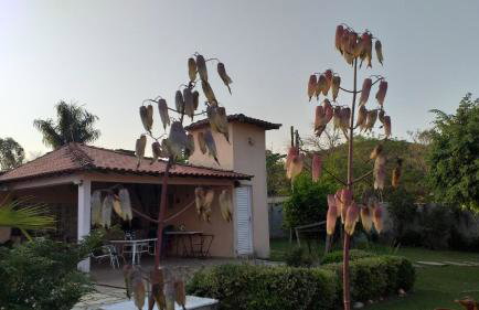 Rancho do Colega - Foto 55