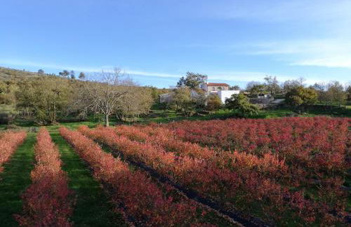 Quinta dos Carvalhais - Serra da Estrela - Foto 42