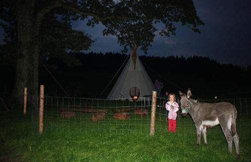 Gut Grasleiten - Foto 43