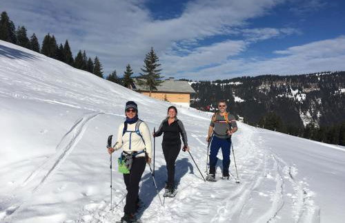 Gemütliche Ferienwohnung Bergwiese, 2-Raum, separates Schlafzimmer, schönen Balkon oder Terrasse, Komfort Ausstattung, ruhige Südlage, kostenfrei WLAN und schöne helle Sauna, Brötchenservice, Parkplatz, Hunde auf Anfrage, E-Tankstelle, Sonnenlage - Photo 36
