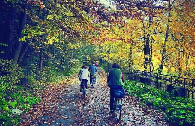 Jaworki Green Dream - Foto 39