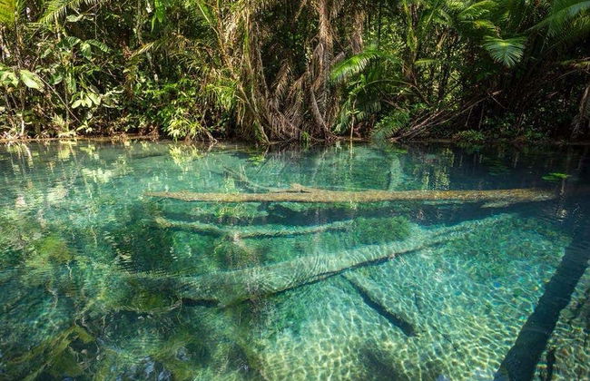 Krabi Kayak Tour - Photo 3