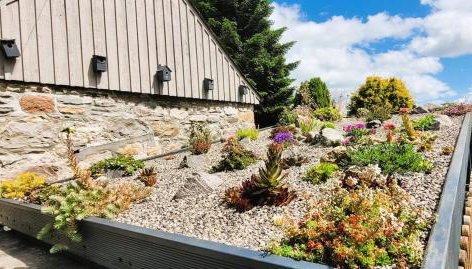 Luxury Speyside Hideaway, Dog Friendly, Malt Whisky Trail, Village Green - Foto 4, Garden