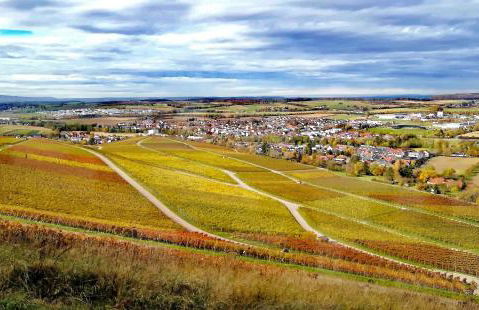 Apartment mit Terrasse in Abstatt - Foto 1