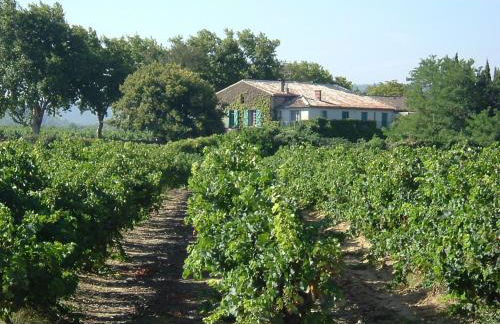 Domaine de Parazols - Foto 33