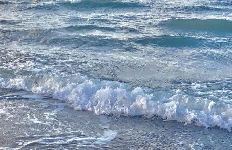 Fewo Horst_ grün. - Foto 20