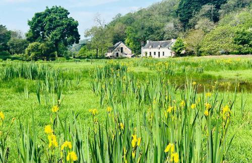 Cocon Nature et bain nordique à 37 degrés - Foto 7