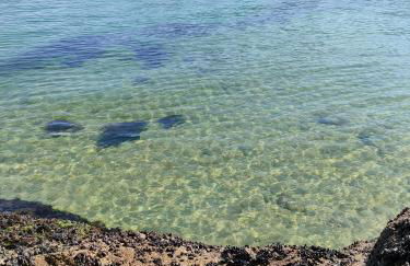Maison de pêcheur Port de plaisance Tréboul - Foto 30