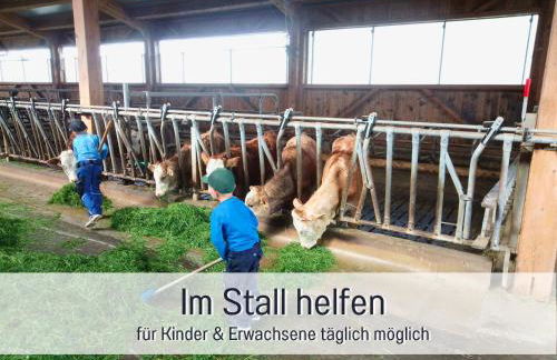 Bauernhof Finkel - Ferienwohnungen mit Balkon - Bergsicht - Traktor mitfahren - Tiere streicheln - entspannter Familienurlaub - zentrale Lage nahe Oberstdorf - Photo 58