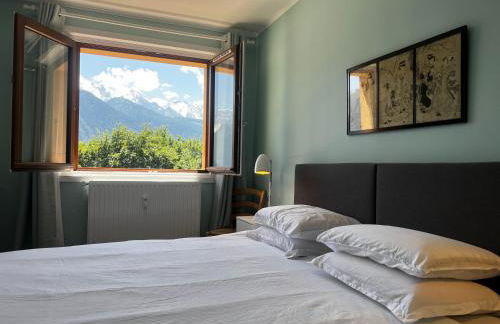 Vue du Mont-Blanc - Photo 14