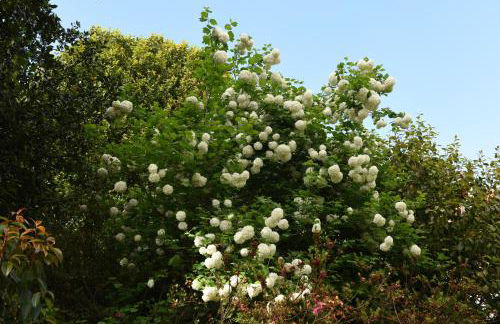 Casas de Pedra - Foto 70