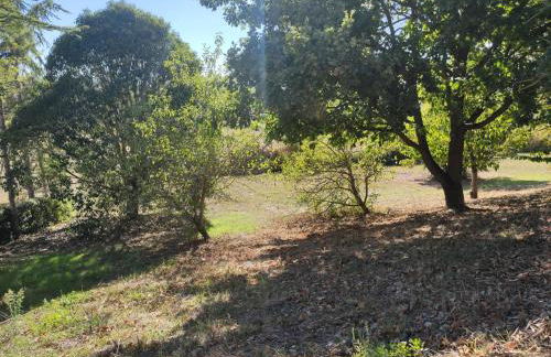 Gîte de la Tride B avec terrasse proche du centre - Photo 7