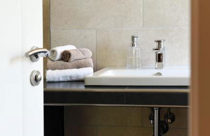 Haus Keppelborg: ZI Ferdinand mit Rosengartenblick - Foto 10