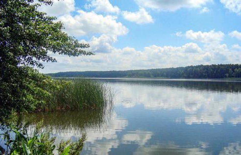 Cozy Home In Biskupice With Wifi - Foto 12