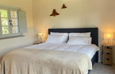 Villa la Madonna with pool and padelcourt - Foto 14