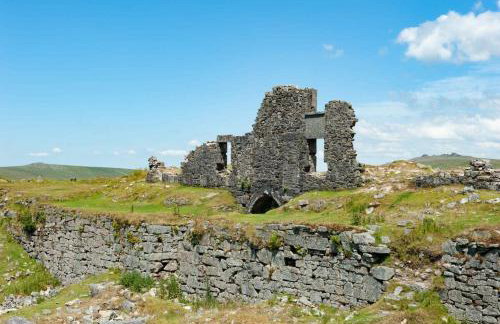 Dartmoor Barn on North Hessary Tor - Foto 18