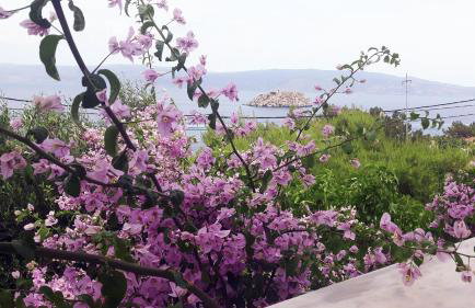 Vlichos Studio Apartment - Foto 39