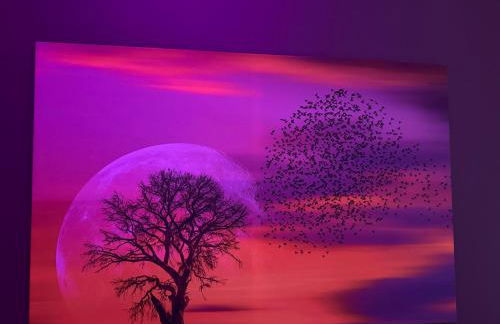 Exil DeLuxe - Foto 29