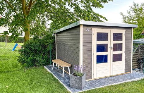 Seeschwalbe - Foto 10