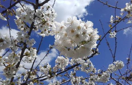 Carvalhal Redondo - Farm House - Foto 34