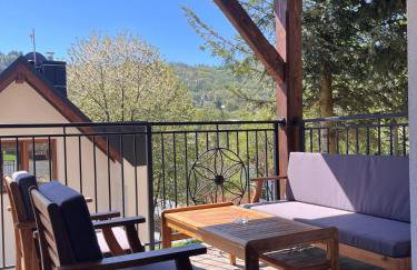 Domki Pienińskie Tarasy - Photo 28