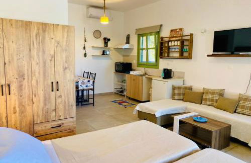 Sophia's Apartment- Lipsi Mint - Foto 3