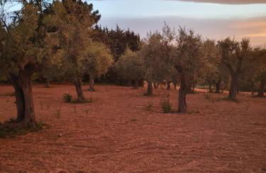 Country House Ciliegia Rossa - Foto 10