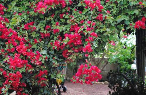 Cosy House in La Sabinita with Mountain View - Foto 20