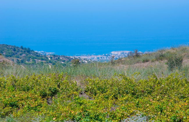 Ayia Marina Villa - Foto 55