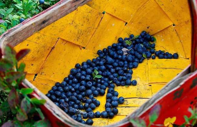 4 Person Holiday Home in Salen - Foto 17