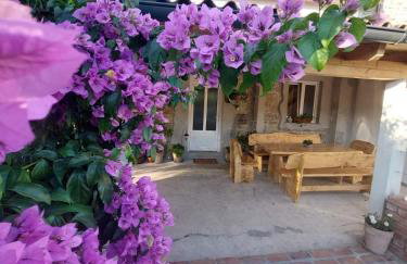 Rezidencija Galileja - Foto 66