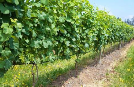 Casal do Arcebispado - Foto 52