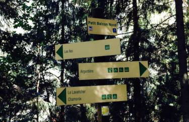 Large peaceful chalet for mountain adventures! Perfect for Flégère and Grand Montet skiing - Foto 55