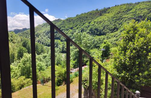 Allotjaments Cal Llarg - Foto 42