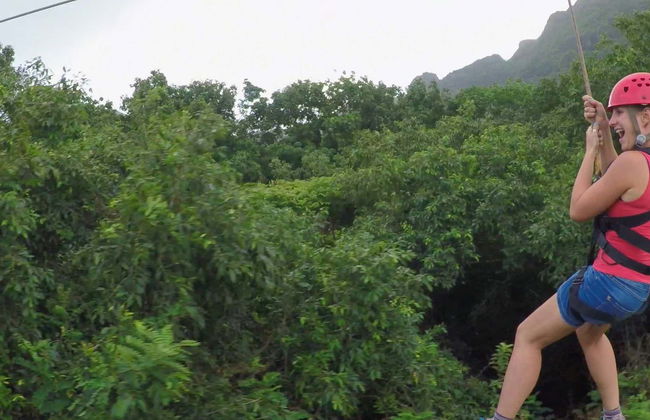 Zipline + Abseiling in Puerto Viejo de Limón - Foto 8