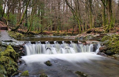 Sarsa Cottage Ballynahinch - Foto 14