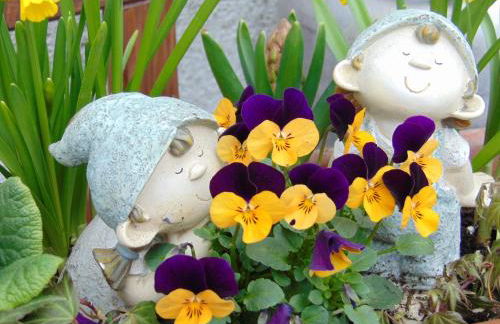 Obere Ferienwohnung Asshoff zwischen Odenwald, Taubertal und Bauland - Foto 15