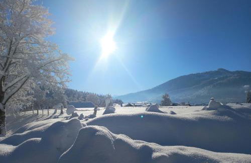 Top! Wohnung direkt am Fuß der Berge im Oberallgäu - Foto 33