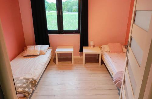 Apartament na Chmielnej - Foto 6