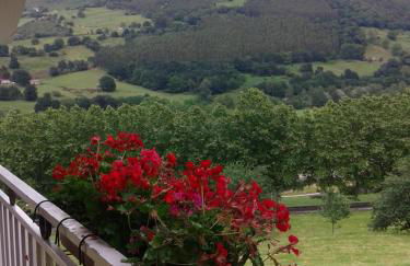 Finca Artienza - Foto 19