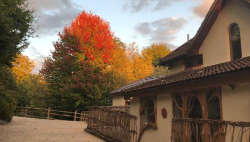 Glastonbury tranquility - Foto 3