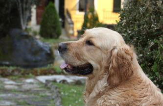 I Giardini di Marcello - Villa 1 - Foto 53