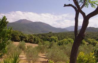 Casa Erbaggio - Foto 45