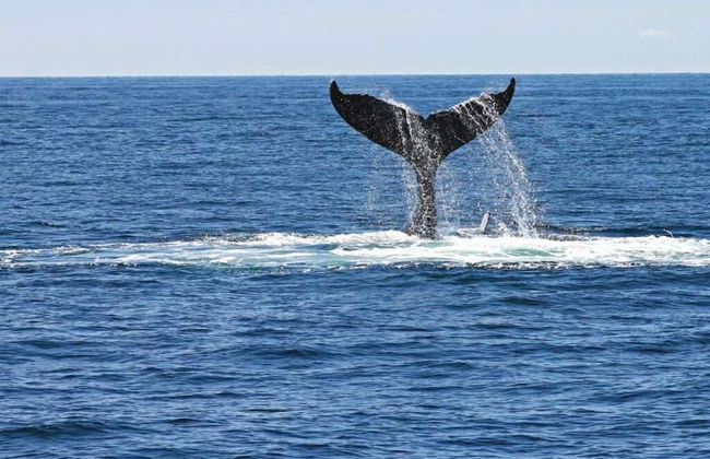 Sunset Villa - Luxury Beachfront Villa with Private Pool by Karula Sand Villas - Foto 19