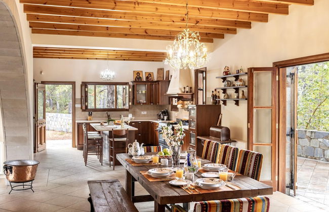 Troodos Mature Pine Chalet - Foto 7