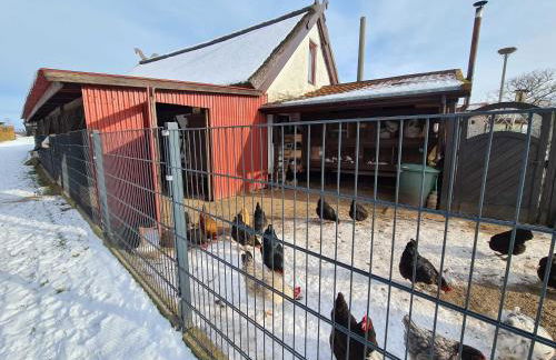 Urlaub "Unterm Storchennest" im Ostseeland Rerik - Foto 44